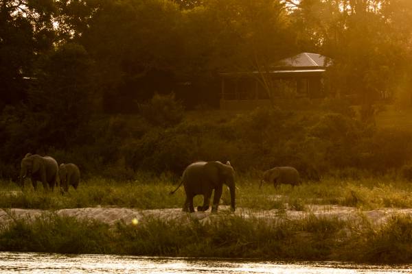 MalaMala Game Reserve